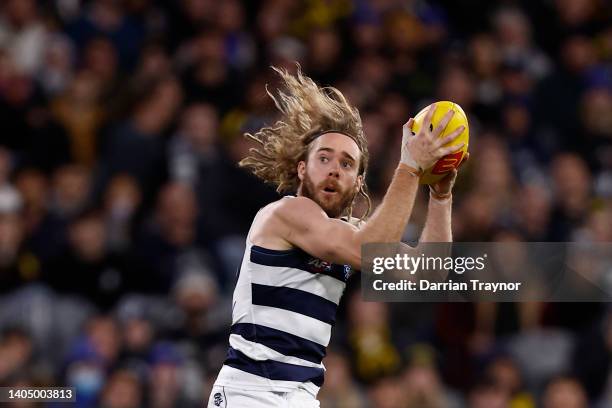 Cameron Guthrie of the Cats marks the ball during the round 15 AFL match between the Geelong Cats and the Richmond Tigers at Melbourne Cricket Ground...