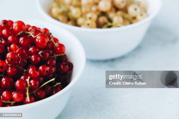 red and yellow currants in white plates. - vinbär bildbanksfoton och bilder