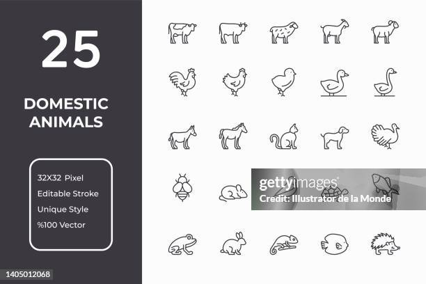 illustrazioni stock, clip art, cartoni animati e icone di tendenza di icone della linea animali domestici - soggetti con animali