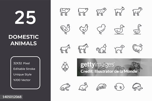 Pets Line Icons Pets Line Icons