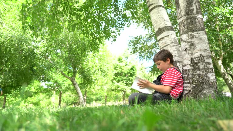 1,526 The Learning Tree Book Stock Videos, Footage, & 4K Video Clips ...