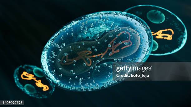 viral infection monkeypox virus - herpes test stock pictures, royalty-free photos & images