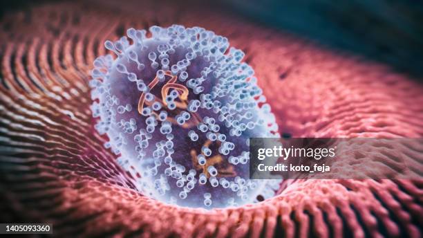 vírus macaco infecção viral - célula humana - fotografias e filmes do acervo