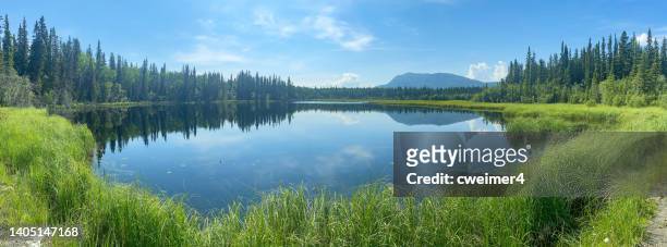 lago panorámico de verano - orilla del lago fotografías e imágenes de stock