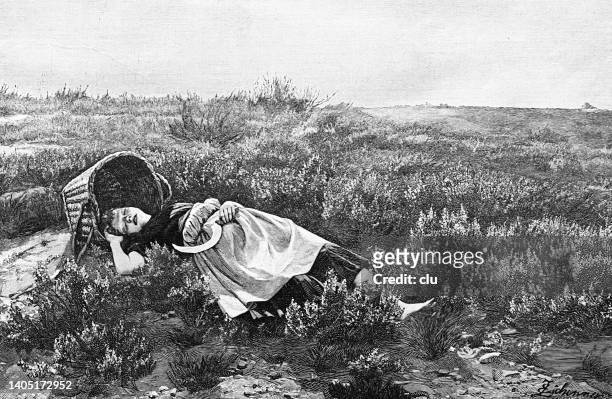 stockillustraties, clipart, cartoons en iconen met heideröschen woman sleeps with her basket as a sunshade on the heath, the sickle in her hand - heather