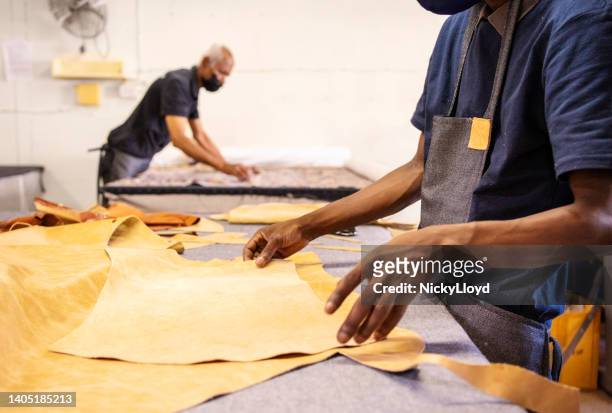 worker examining pieces of fabric on a furniture workshop bench - upholstered furniture stock pictures, royalty-free photos & images
