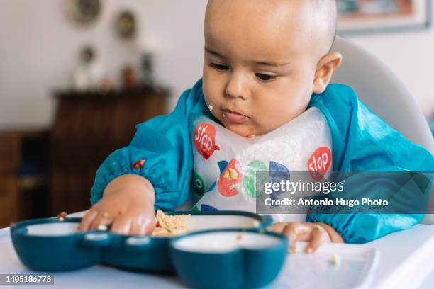 baby taking food from a plate. baby led weaning method. blw. - babyhood stock pictures, royalty-free photos & images