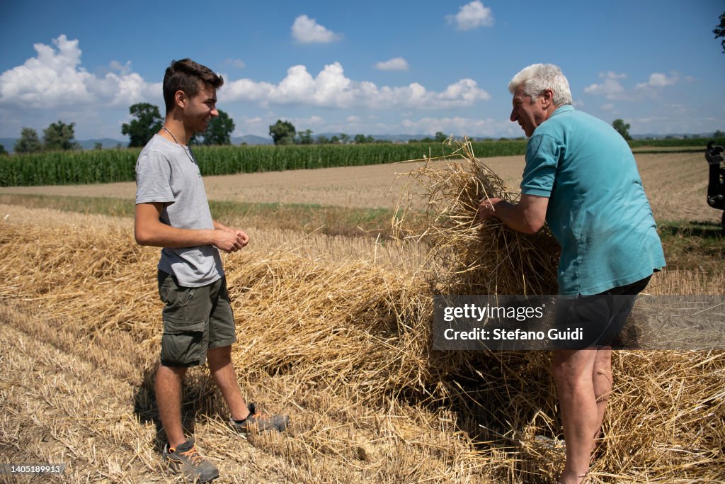Drought Slashes Italian Wheat Harvest Of 2022
