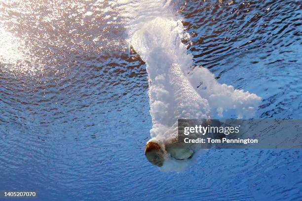 Pauline Alexandra Pfeif of Team Germany competes in the Women's 10m Platform Preliminaries on day one of the Budapest 2022 FINA World Championships...