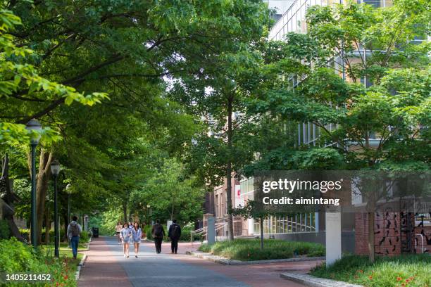 people walking in upenn campus - penn stock pictures, royalty-free photos & images