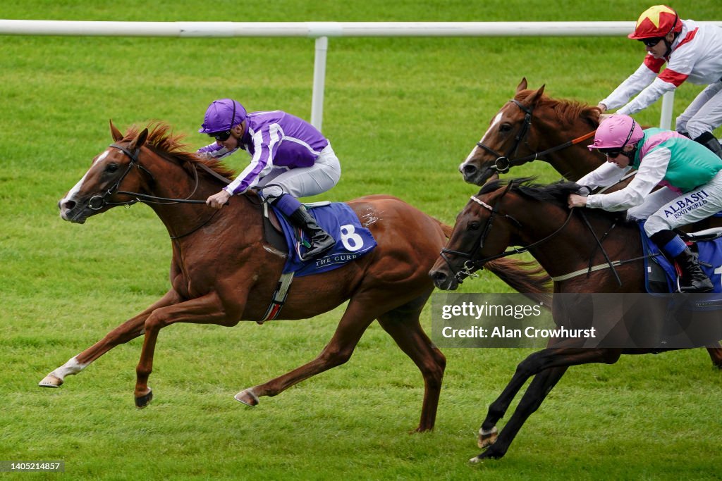 Curragh Races