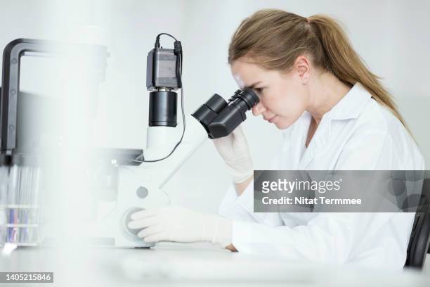 people-centric innovation in industrial research and development. clinical laboratory scientist is using a microscope in a laboratory of pharmacy industry. - image technique stock pictures, royalty-free photos & images