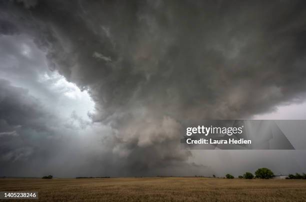storms across the golden wheat fields on the great plains - grandes planícies imagens e fotografias de stock