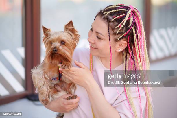 woman with pink afro braids walks on foot with a yorkshire terrier dog in her arms in the city along the street - yorkshire terrier stock pictures, royalty-free photos & images
