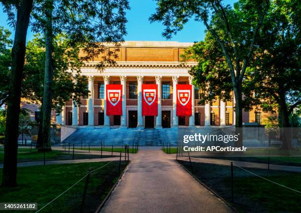 harry elkins widener memorial library at dawn - harvard yard - harvard university - cambridge massachusetts - harvard university stock pictures, royalty-free photos & images