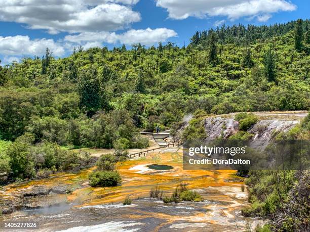 paleta do artista, o calçadão do parque geotérmico orakei korako & caverna em hidden valley, taupo, nova zelândia - rotorua - fotografias e filmes do acervo