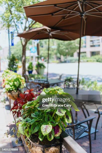 container garden surrounds outdoor dining space - arlington virginia stock pictures, royalty-free photos & images