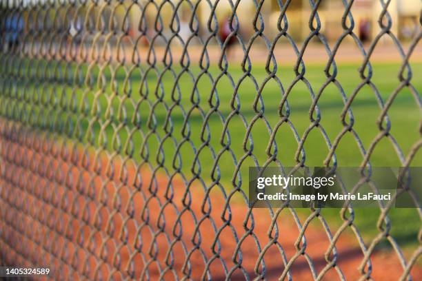 chainlink fence at baseball field - softball sport bildbanksfoton och bilder