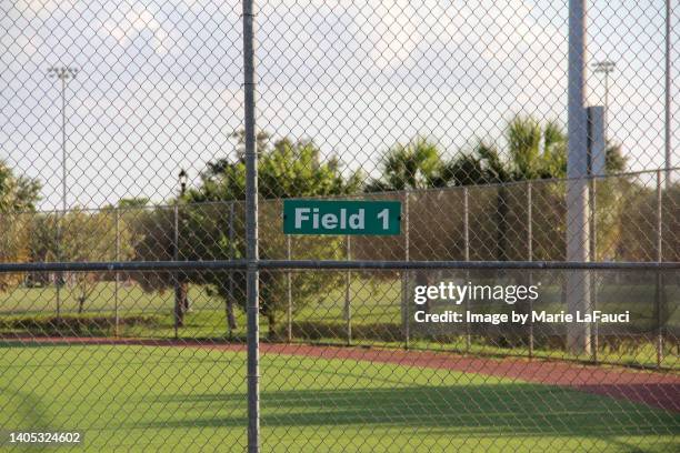 empty baseball field - yankees home run stock pictures, royalty-free photos & images