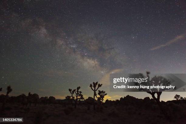 stargazing spectacular milky way at lost horse trail joshua tree - joshua tree - fotografias e filmes do acervo