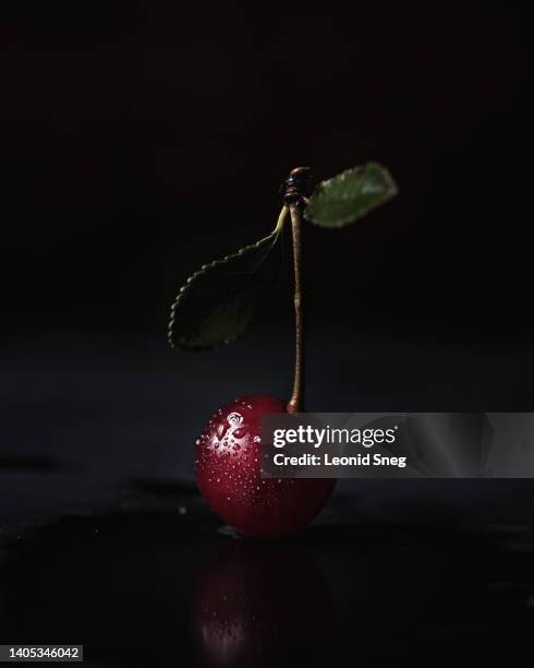 cherry with water drops on black background - cerise photos et images de collection