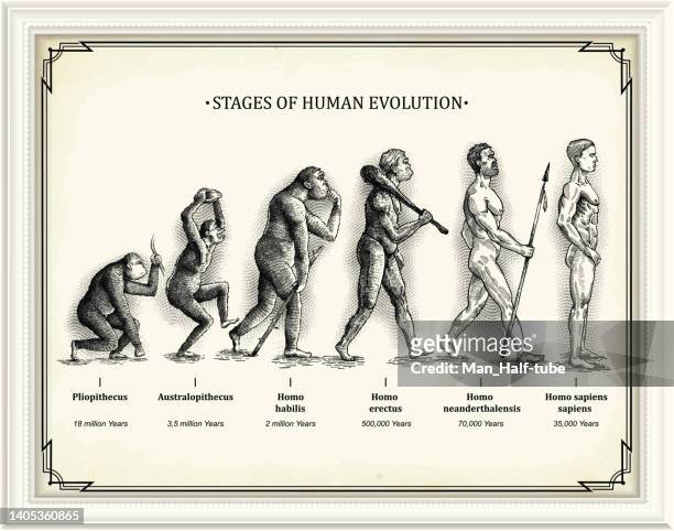 stages of human evolution - development stock illustrations