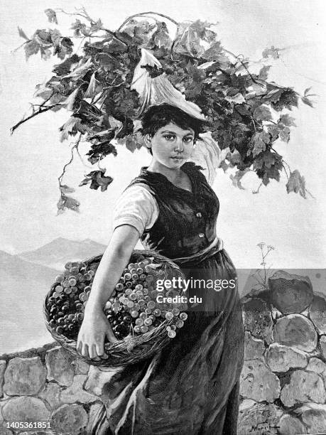 female winemaker at the harvest in meran - archival illustration stock illustrations