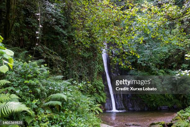 The Salto do Coro is a waterfall in the Argomoso stream, a tributary of the river Valiñadares on June 26 Mondoñedo, Galicia, Spain.