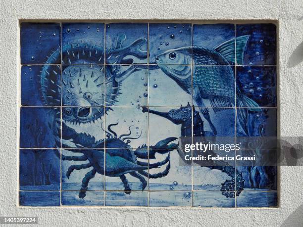 traditional blue and white wall decoration, sines, alentejo, portugal - portuguese tiles stock pictures, royalty-free photos & images