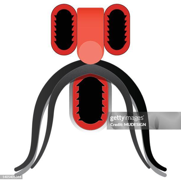 mustache face - movember stock illustrations