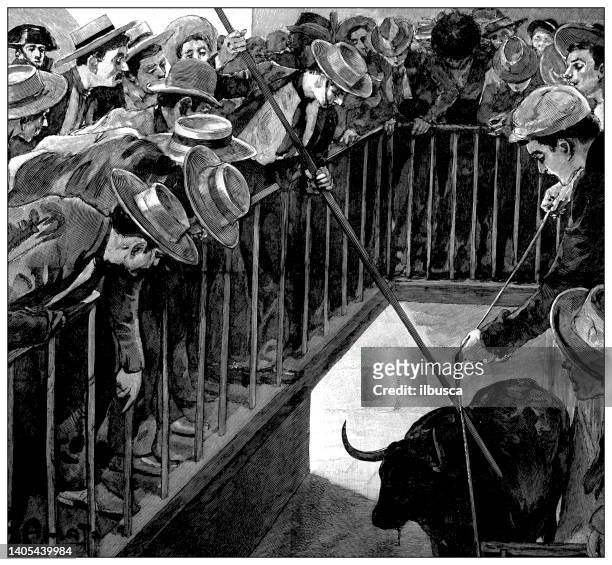 antique illustration: running of the bulls, deuil, preparation - running of the bulls stock illustrations