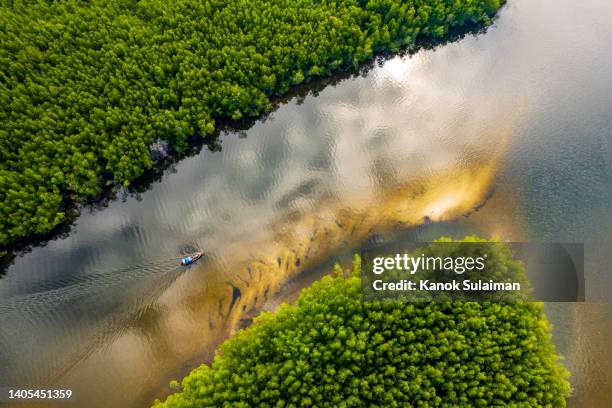 aerial view of long tail boat moving on mangrove forest river in sea at ban nam rab ,trang ,thailand - tide rivers stock pictures, royalty-free photos & images