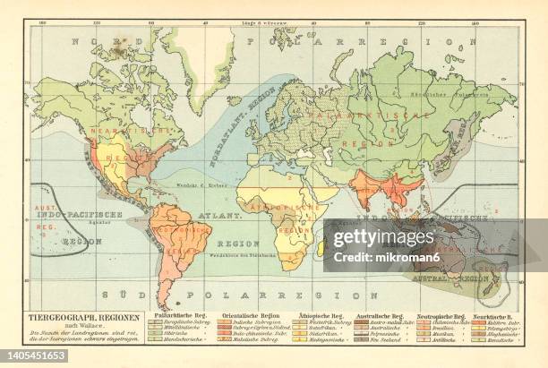 old chromolithograph map of distribution of animals in the world - ancient map of the world stock pictures, royalty-free photos & images