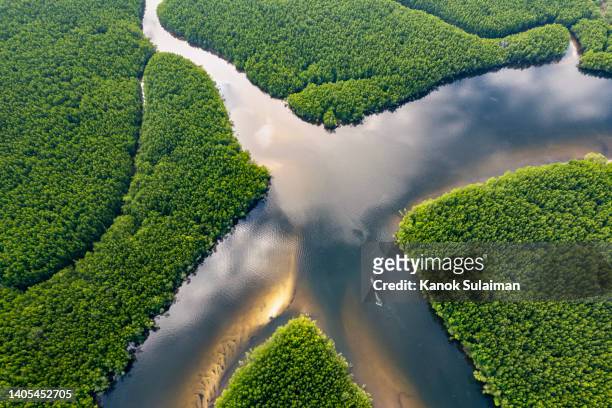 aerial view of long tail boat moving on mangrove forest river in sea at ban nam rab ,trang ,thailand - letra x fotografías e imágenes de stock