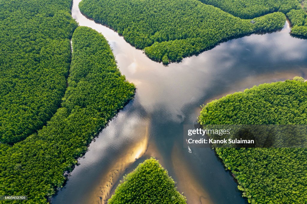 Aerial view of long tail boat moving on mangrove forest river in sea at Ban Nam Rab ,Trang ,Thailand