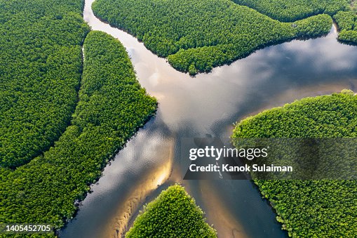 Aerial view of long tail boat moving on mangrove forest river in sea at Ban Nam Rab ,Trang ,Thailand Aerial view of long tail boat moving on mangrove forest river in sea at Ban Nam Rab ,Trang ,Thailand