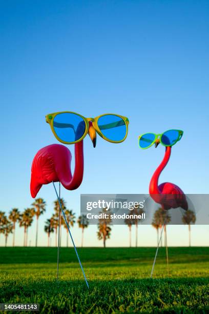 two plastic pink flamingo on a green lawn stock photo - tacky lawn ornaments stock pictures, royalty-free photos & images