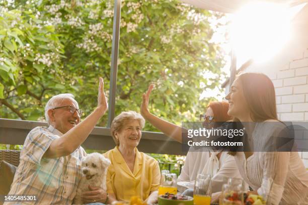 young woman and her grandfather doing a high-five and bonding during a celebratory party - multi generational family with pet stock pictures, royalty-free photos & images