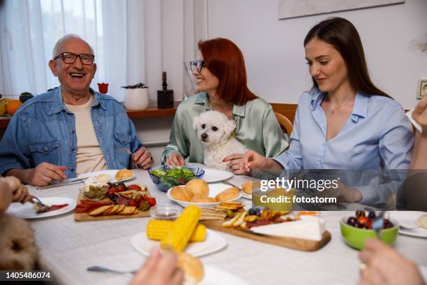 alegre multigeração família vínculo durante o jantar eles estão desfrutando - dog thanksgiving - fotografias e filmes do acervo