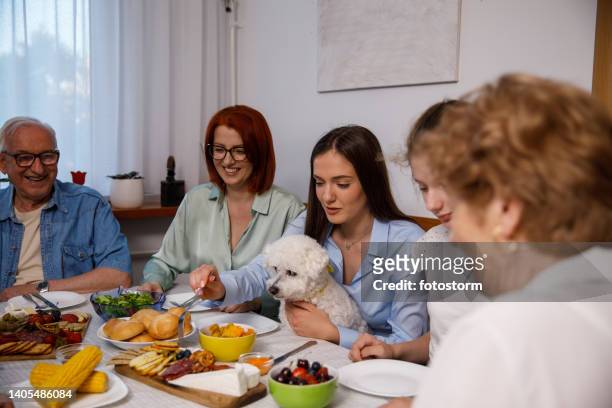 familia disfrutando de deliciosa comida puesta en la mesa durante la cena - dog thanksgiving fotografías e imágenes de stock