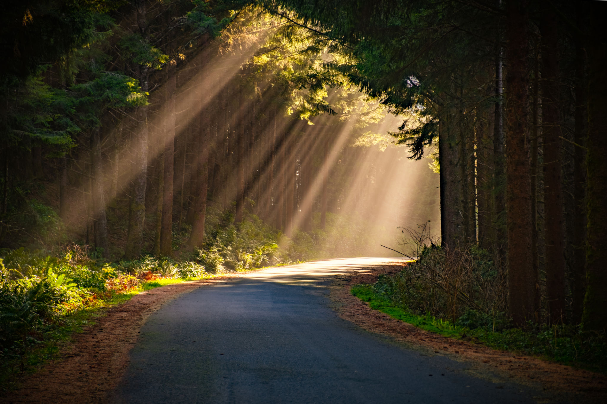 spiritual path