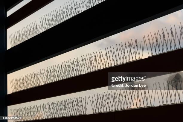 anti bird spike - pointy architecture stock pictures, royalty-free photos & images