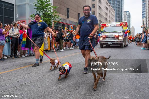 toronto pride parade 2022 - dog parade stock pictures, royalty-free photos & images