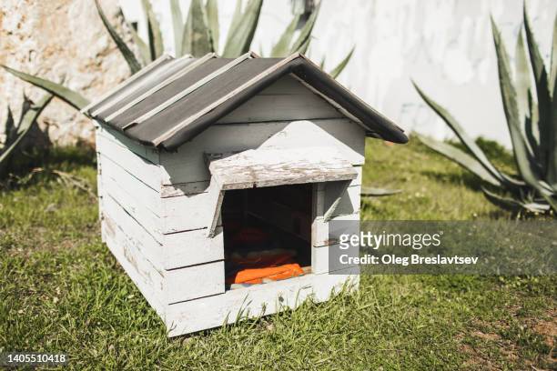 cozy and small wooden house for dog or cat in garden - wooden hut stock pictures, royalty-free photos & images