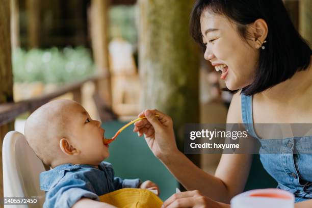 asian woman spoon feeding rice cereal to her baby boy - asian spoon feeding happy stock pictures, royalty-free photos & images