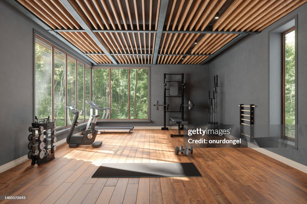 Personal Training Studio mit Langhantel, Hanteln, Heimtrainer und Gartenblick aus dem Fenster