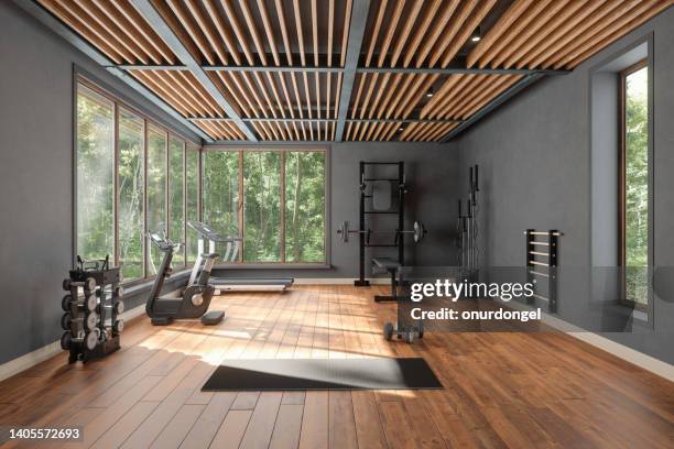 personal training studio mit langhantel, hanteln, heimtrainer und gartenblick aus dem fenster - gym images stock-fotos und bilder