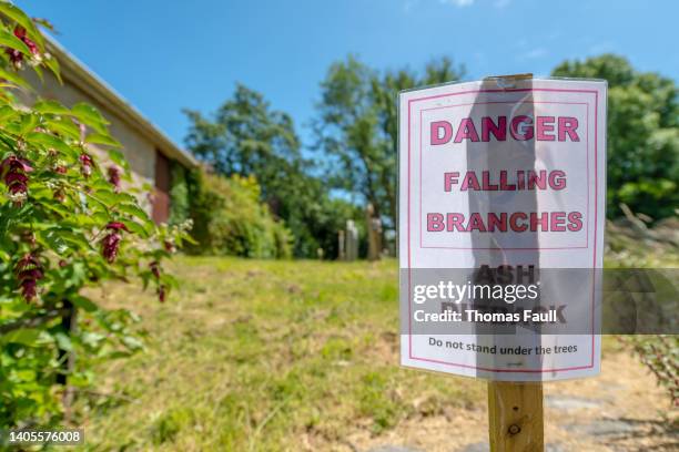 ash dieback warning sign - ash tree stock pictures, royalty-free photos & images