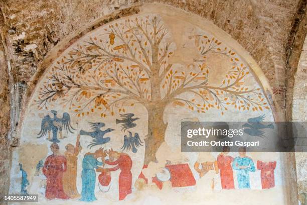 medieval fresco in massa marittima - tuscany - massa marittima bildbanksfoton och bilder