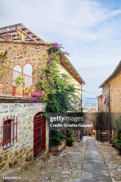 tuscany - old town of castiglione della pescaia - grosseto province stock pictures, royalty-free photos & images